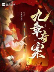 九章奇案txt 百度