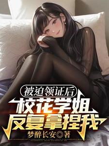 我的老婆是校花改编
