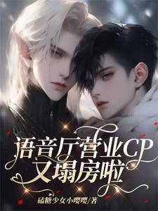 语音厅简介