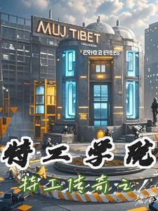 特工艾米拉续集
