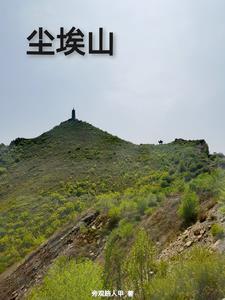 尘埃一座山