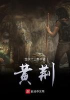 黄荆菜的功效与作用