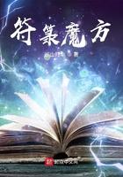 魔方符号的意思