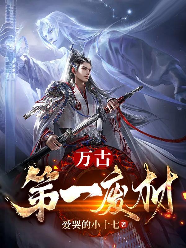 轮回塔中文破解版