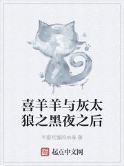 喜羊羊与灰太狼之黑房子