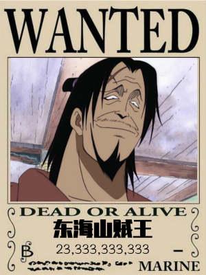 东海山贼王无错