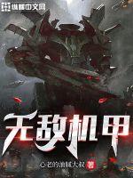 无敌机甲乱斗破解版免广告