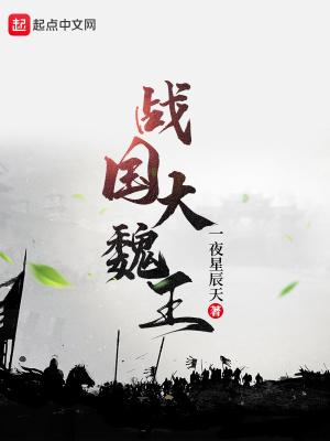 战国魏国大才