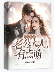 独家婚宠老公别玩火全文免费阅读全文