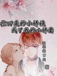 捡来的小妻主