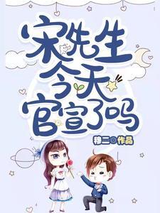 宋先生是真人吗
