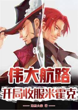 伟大航路设定