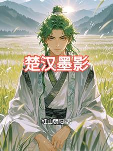 合肥楚墨文化传媒有限公司