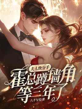 夫人又在摆摊