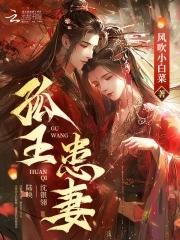 孤王患妻沈银翎阅读