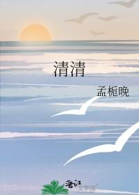 清清晰晰的意思
