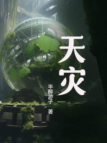 天灾石兑换