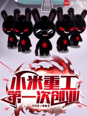 小米重工第一次创业全本免费阅读