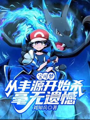 宝可梦丰缘地攻略