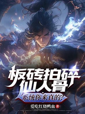 板砖拍人技巧
