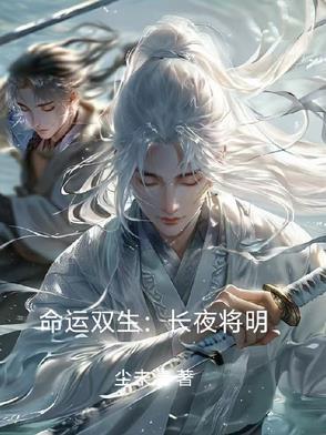 命运长夜职阶