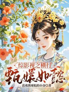 综影视甄嬛晋江