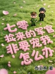 军官捡了一个乞丐电视剧