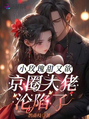 小玫瑰 h