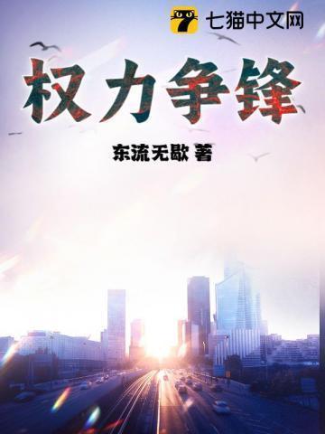 权力争锋全集阅读免费