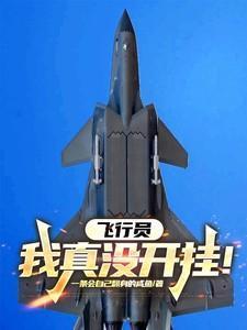 开局飞行员系统的