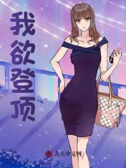 我欲登顶李正安的