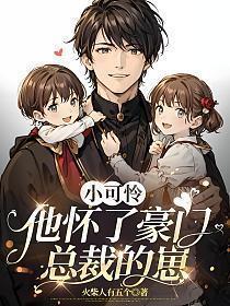 小可怜他怀了豪门总裁的崽全文免费阅读