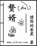 赘婿第二季