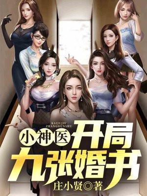 小神医开局九张婚书全文阅读