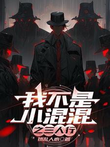 我不是小17