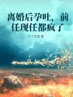 离婚后前夫怀孕了txt